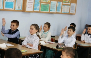 Итоги Региональной олимпиады среди младших школьников